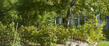 feriehus fredensborg ferie med egen hest feriebolig overnatning bed and breakfast