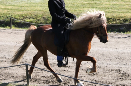 Soley fra olafsvöllum